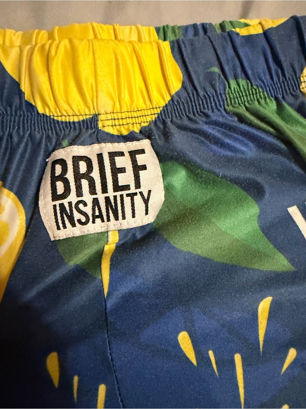 Brief Insanity large mens PJ pants